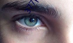 三级性生活视频